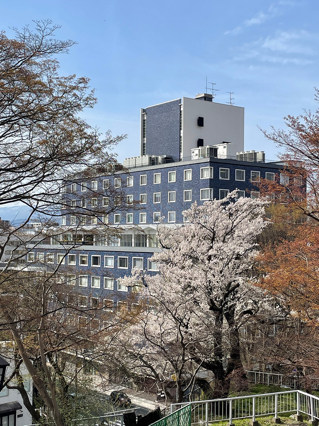 盛岡城址公園隣・農林会館（盛岡市菜園）